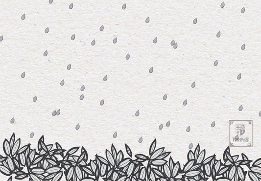 熊笹に落ちる雨 TAMARUSAN