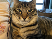 新店長がやってきた