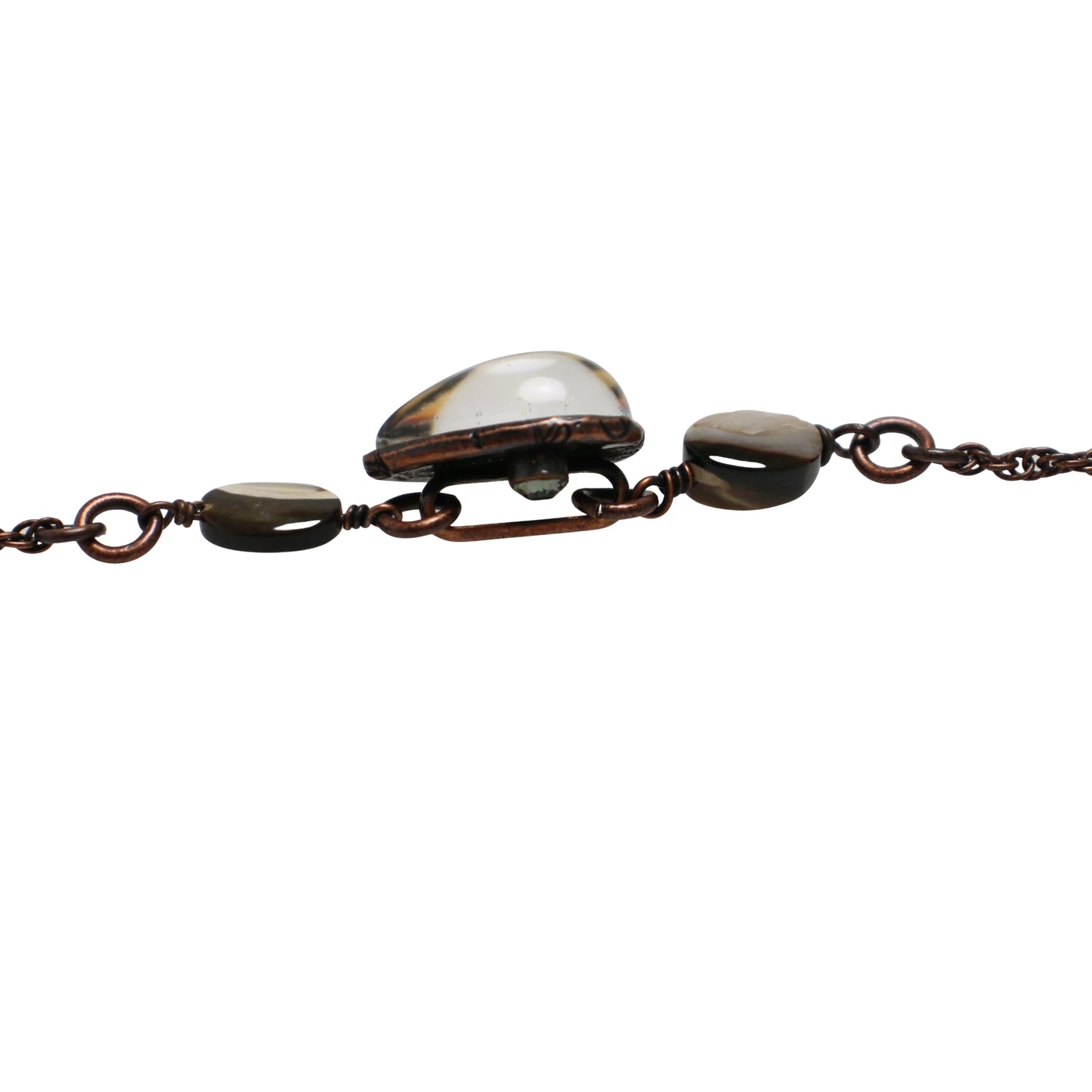 眼鏡チェーン シェル シンプル 茶色