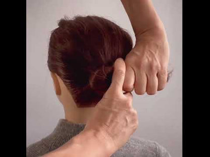 かんざし 蝶 茶色 白 三毛猫柄