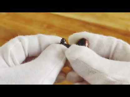 イヤリング 茶色 シダ シック