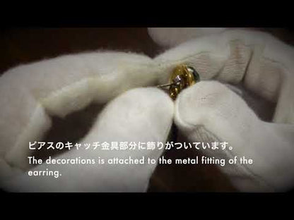 ピアスの紹介
