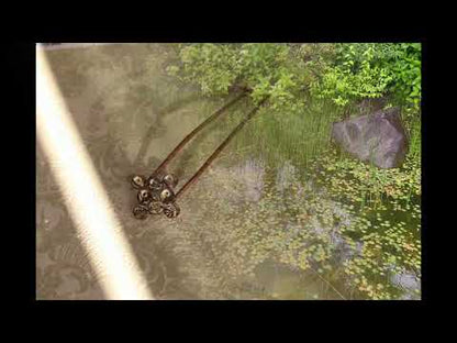 かんざし紹介動画